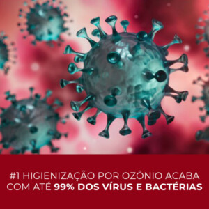 Foto ilustrativa de colônia de vírus a serem eliminados pela oxi-sanitização